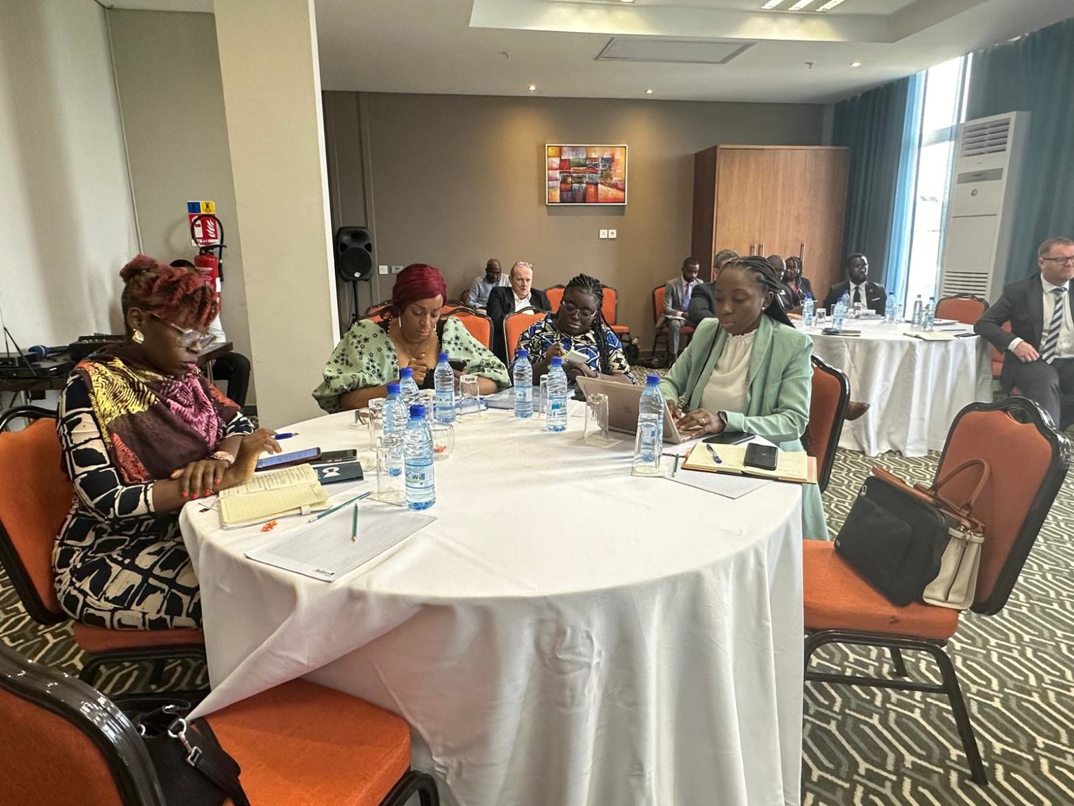 CWEIC Hosts First International Advisory Council in Gabon